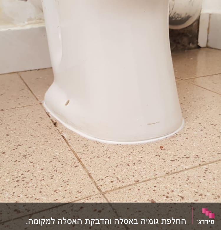 בסיס אסלה על רצפת קרמיקה